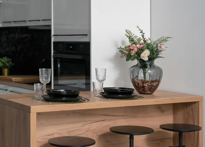 Center With Free Garage By Renters Lägenhet *