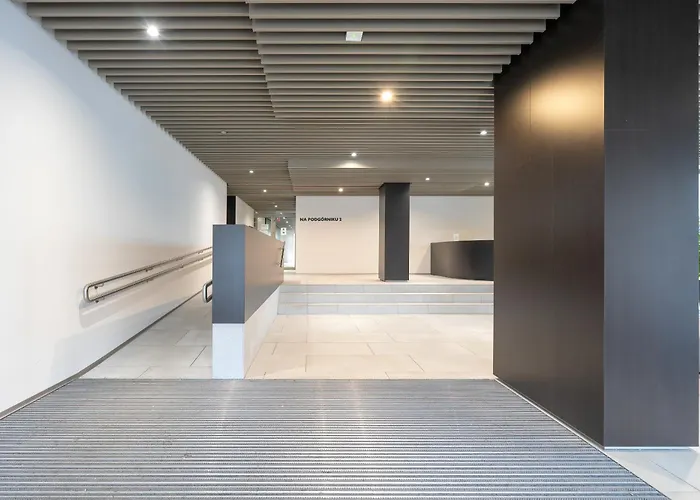 Center With Free Garage By Renters Lägenhet