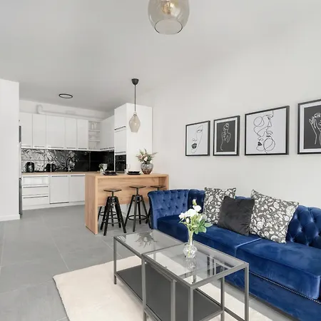 Apartament Center With Free Garage By Renters