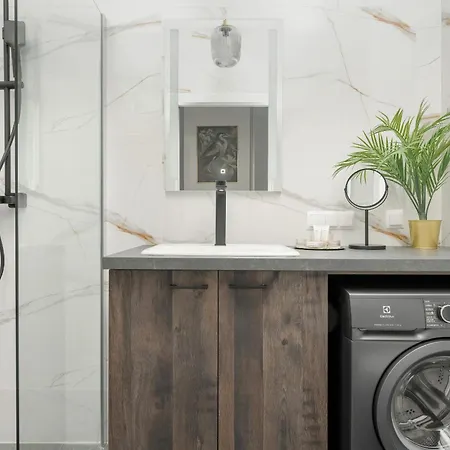 Center With Free Garage By Renters פוזנן