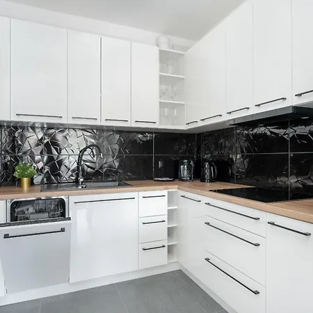 Center With Free Garage By Renters דירה פוזנן